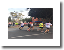 CARRERA8